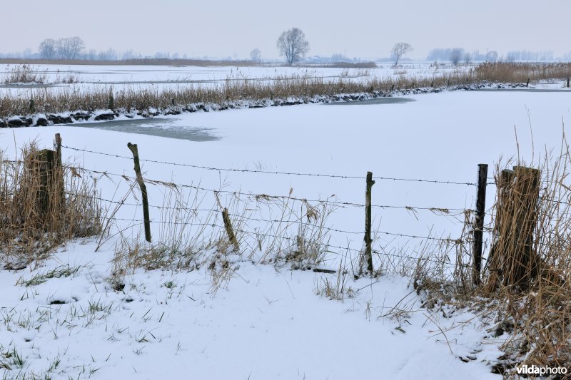 Winterse Rillebroeken
