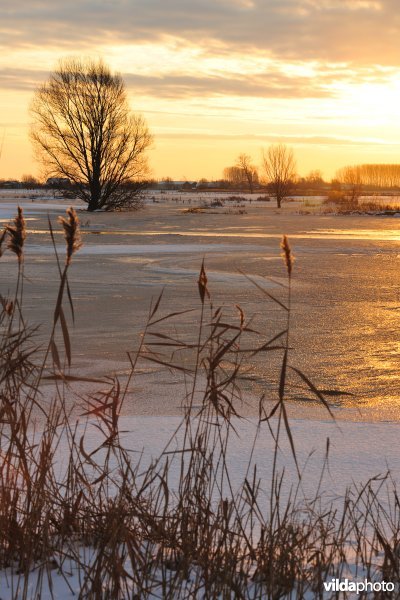 Winterse Merkembroeken