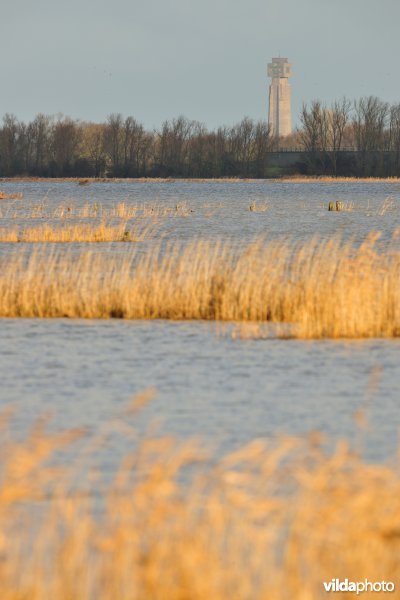 Overstroomde Hoog Broek