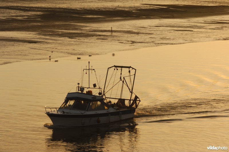 Pleziervissersbootje in de IJzermonding