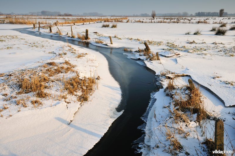 Vijfhuizenbroek