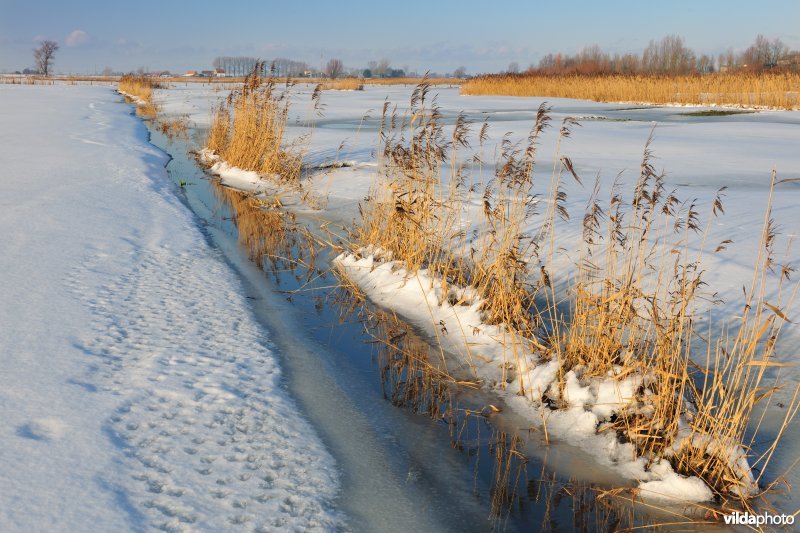 Vijfhuizenbroek