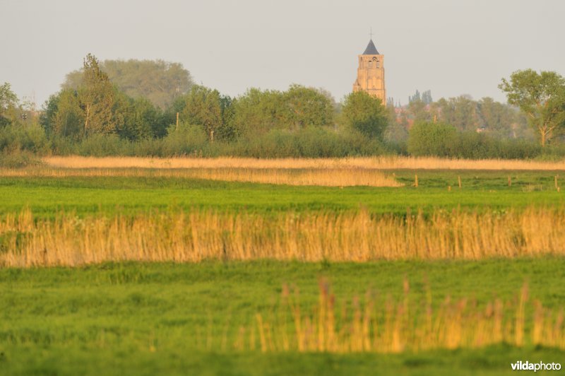 Woumenbroek en kerk Woumen