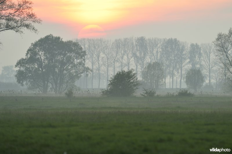 Woumenbroek