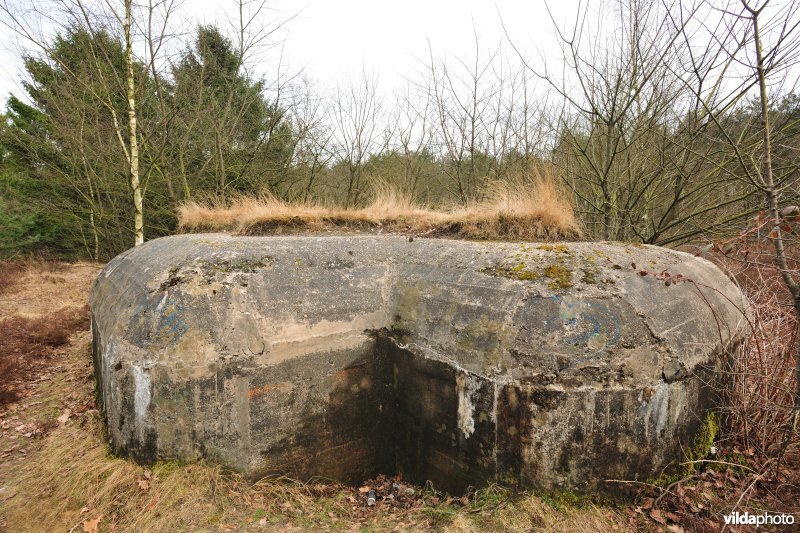 Bunkers