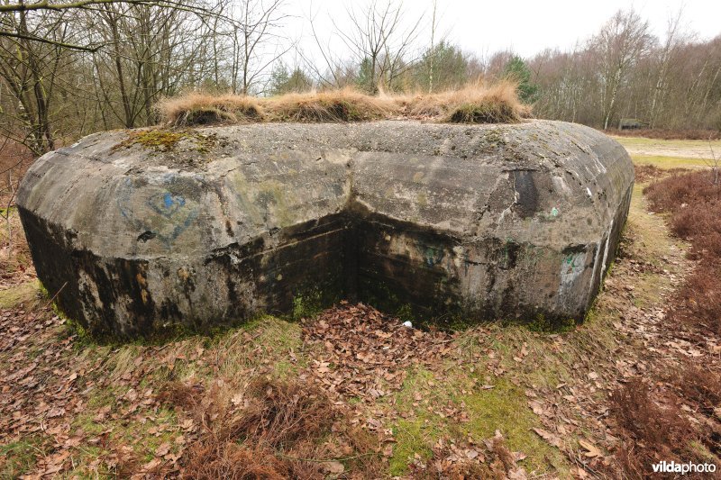 Bunkers
