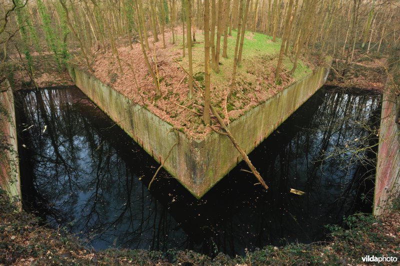 Fort Steendorp