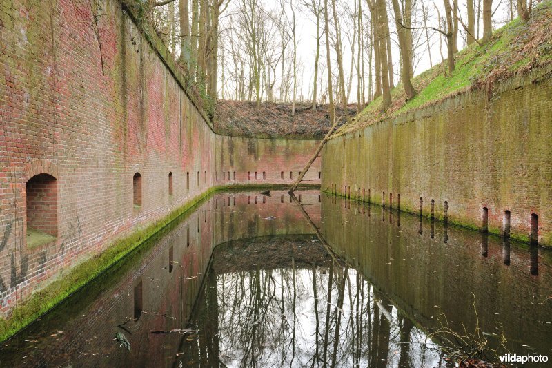 Fort Steendorp