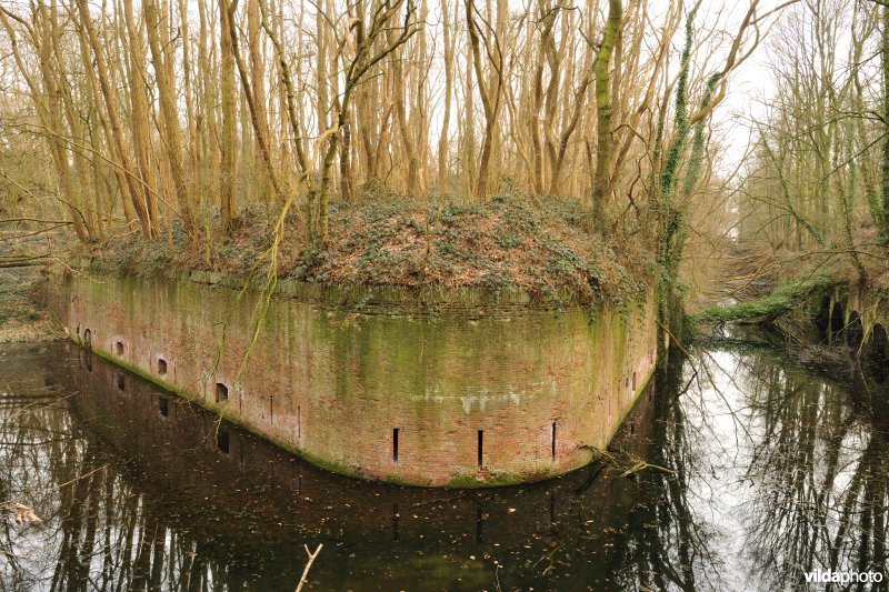 Fort Steendorp