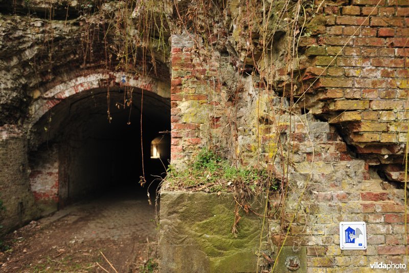 Vleermuizenreservaat Fort Steendorp