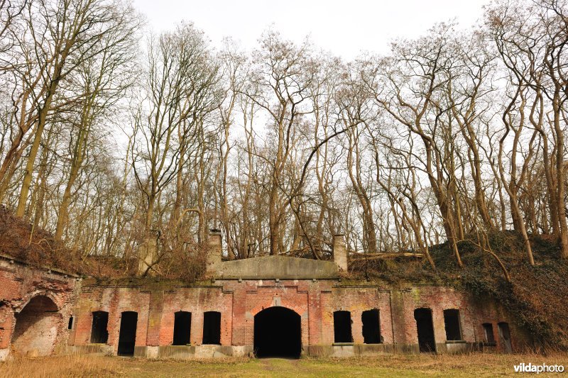Fort Steendorp