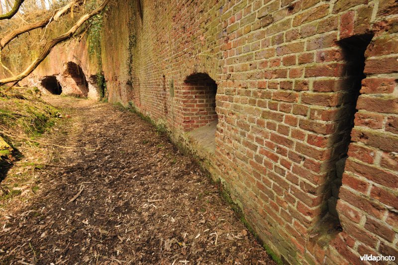 Fort Steendorp