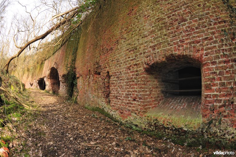 Fort Steendorp