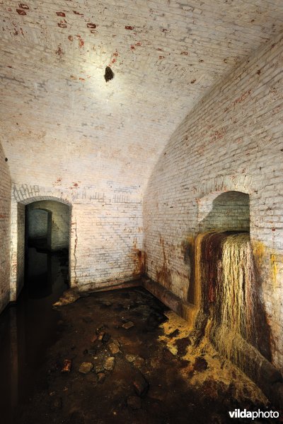 Fort Steendorp