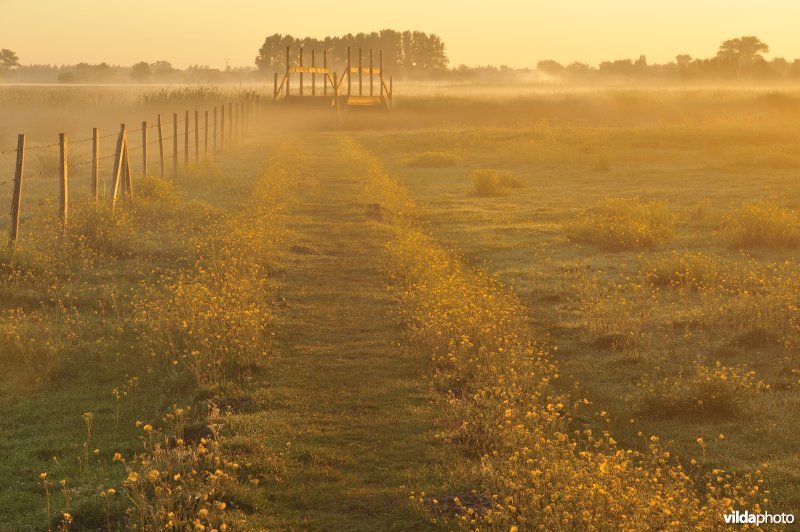 Oud kerkewegeltje aan de Blankaart