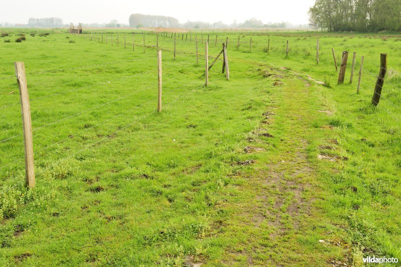 Oud kerkewegeltje aan de Blankaart