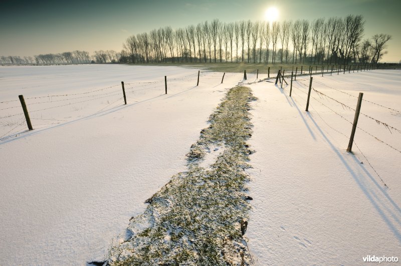 Winters kerkewegeltje aan de Blankaart