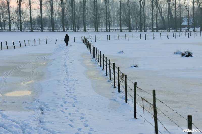 Winters kerkewegeltje aan de Blankaart