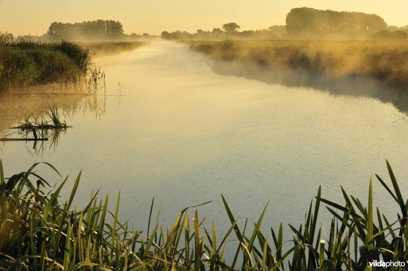 Kerkevaart