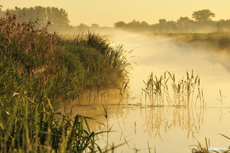 Kerkevaart
