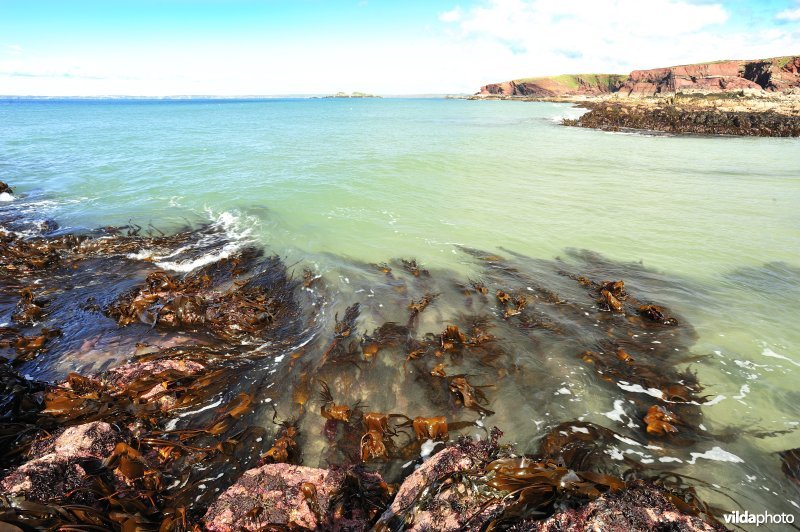 Strand van Wales