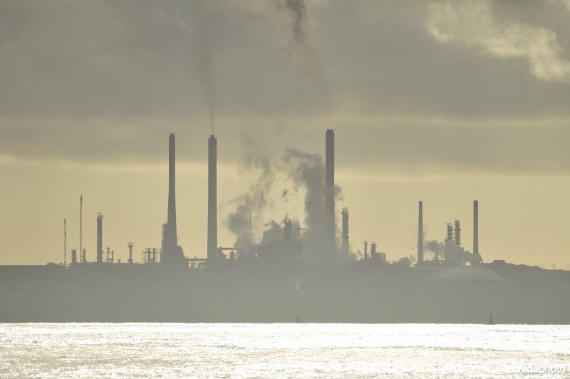 Industrie te Wales