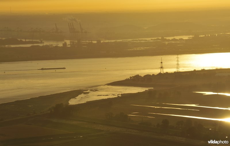 Schelde en het Paardenschor