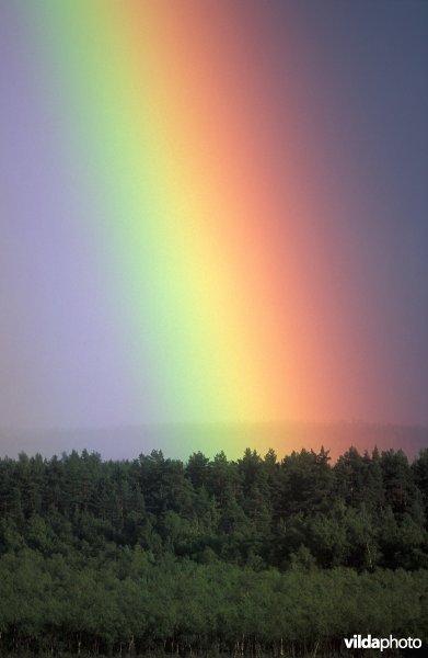 Regenboog na hevige regenbui