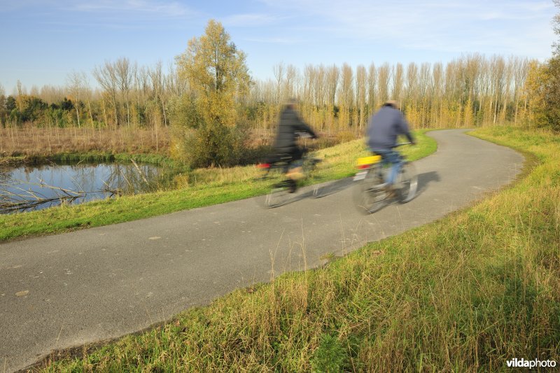 Fietsers langs de Schelde