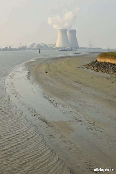 Galgenschoor aan de Schelde