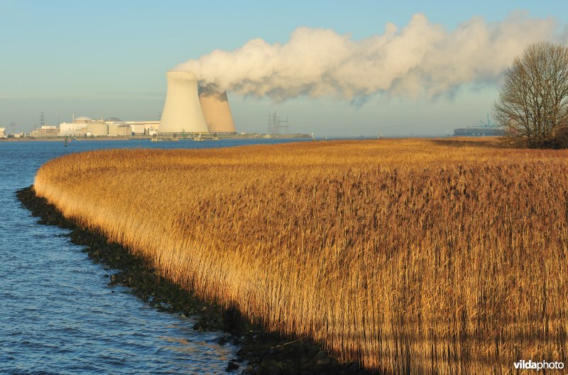 Galgenschoor aan de Schelde