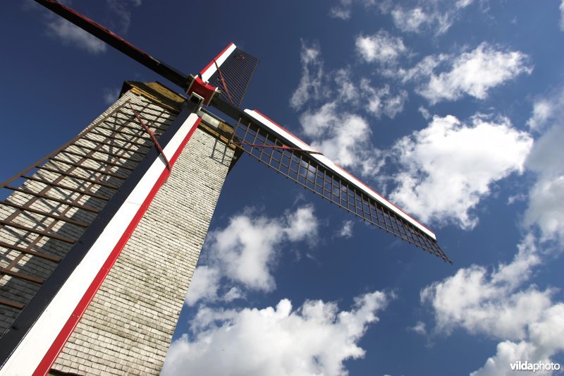 Windmolen