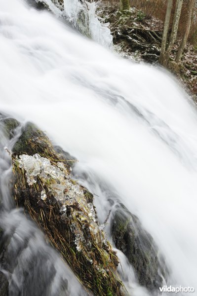Waterval van Coo in de winter