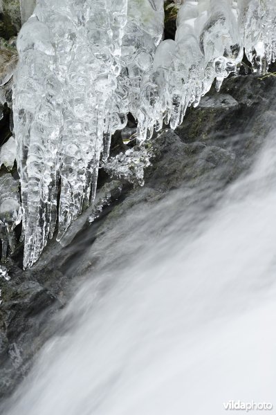 Waterval van Coo in de winter