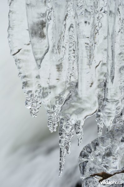 Waterval van Coo in de winter