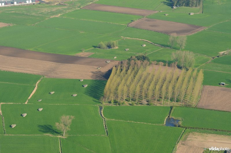 Bunkerlinie rond Haasdonk
