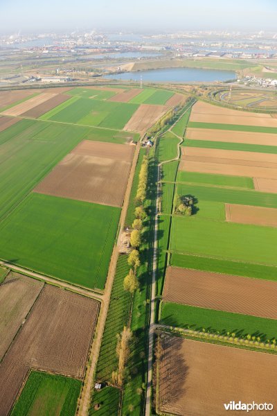 Cauwensteinse dijk