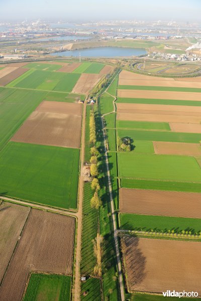 Cauwensteinse dijk