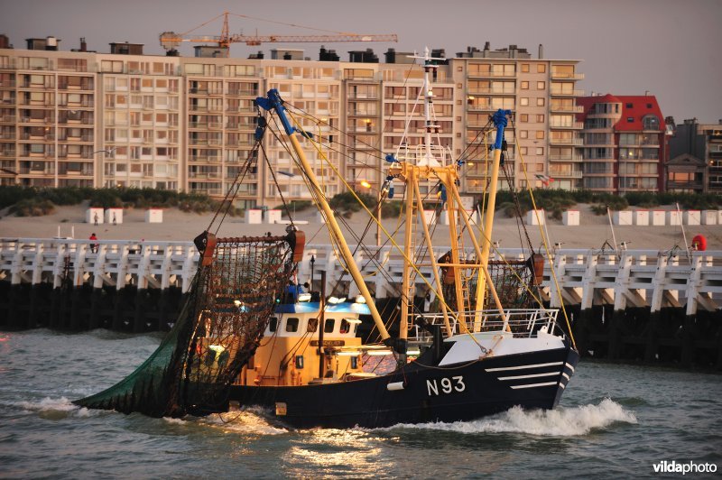 Vissersboot in de IJzermonding