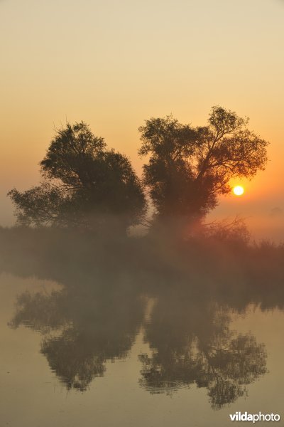 Rivier IJzer