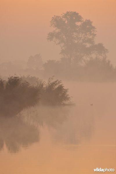 Rivier IJzer