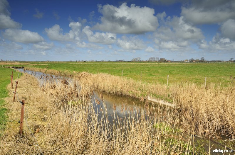 Vallei van de Handzame