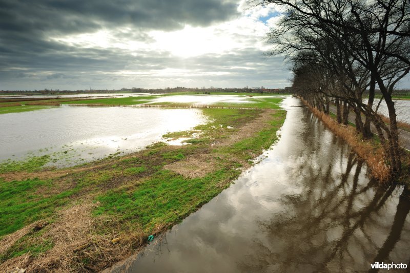 Kanaal van Esen