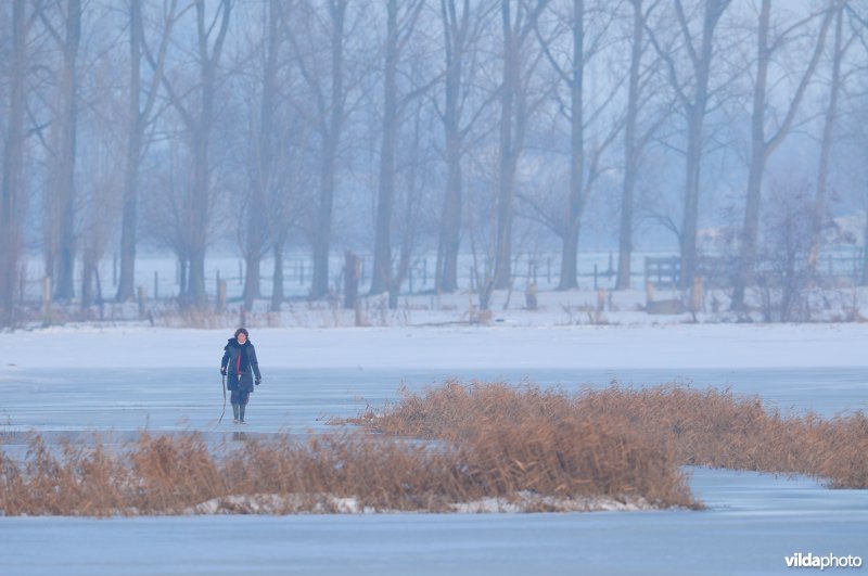 Wandelen in de bevroren Rillebroeken