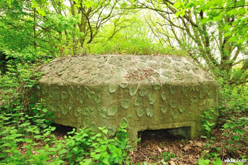 Fort Walem