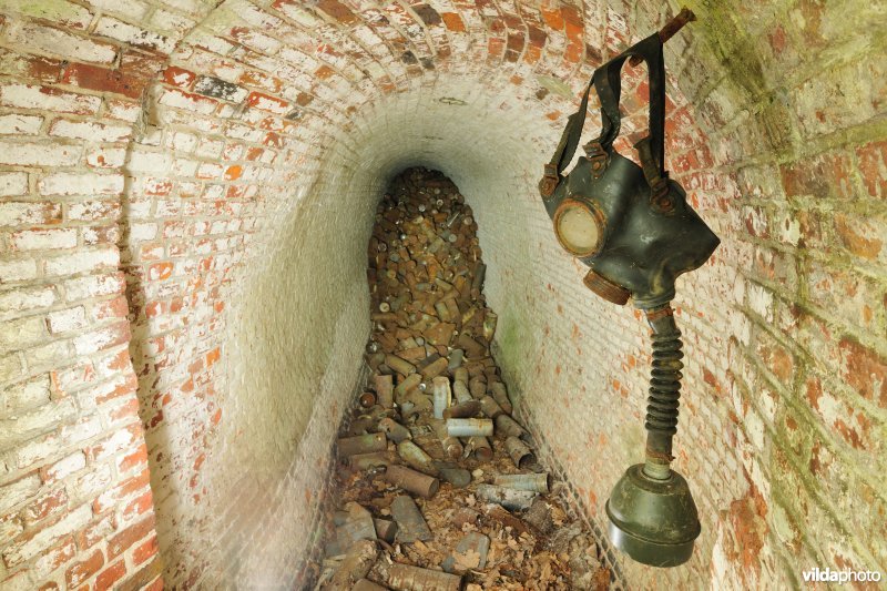 Fort Walem