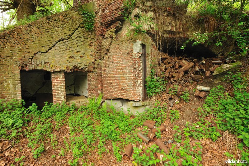Fort Walem