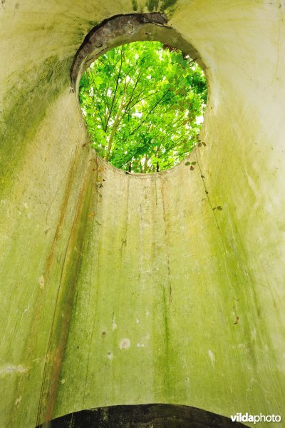 Fort Walem