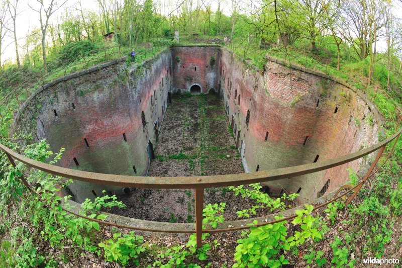 Fort 7
