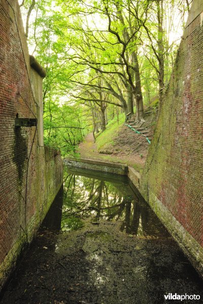 Fort 7